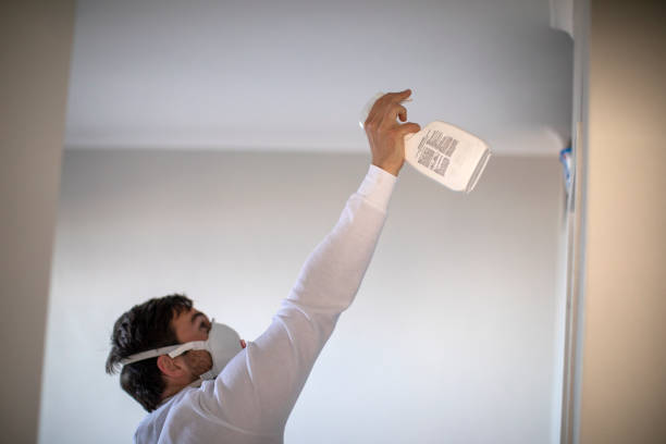 Best Mold Testing and Removal  in Carthage, TX