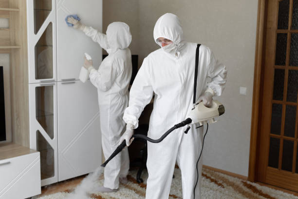 Best Commercial Mold Removal  in Carthage, TX