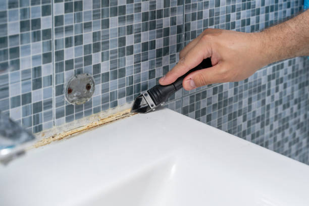 Best Mold Removal Near Me  in Carthage, TX