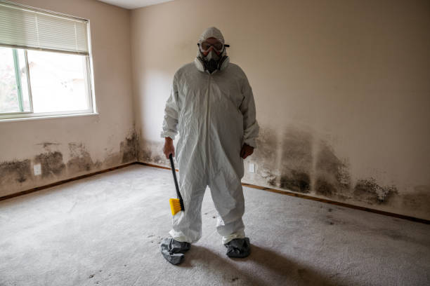 Best Mold Testing  in Carthage, TX