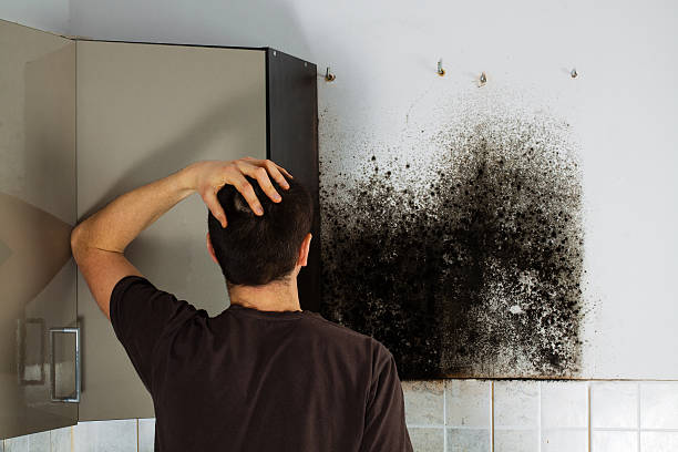 Trusted Carthage, TX Mold Removal Experts